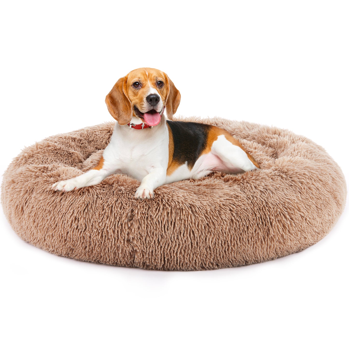 Comfort Cloud 24" Cat Bed – Fluffy, Secure & Pet-Approved