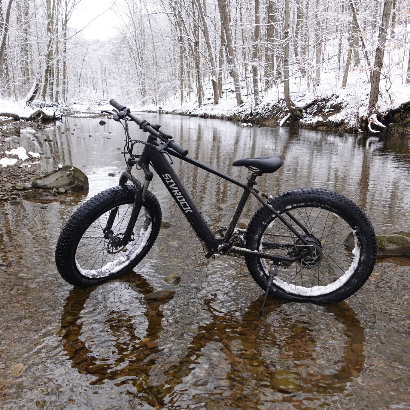 Powerful Electric Mountain Bike – 1000W Motor, 26x4.0 Fat Tires, Long-Range Ride Bike