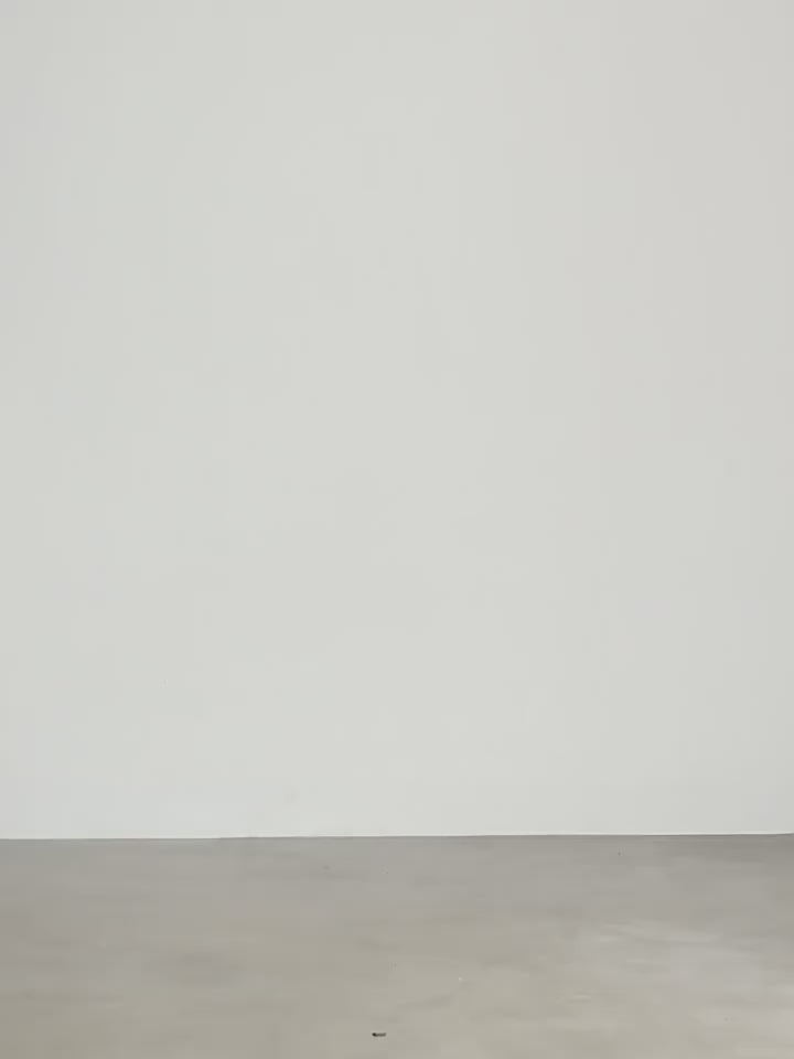 Fireladyfur Women’s Down Parka with Raccoon Fur Collar – Hooded Coat