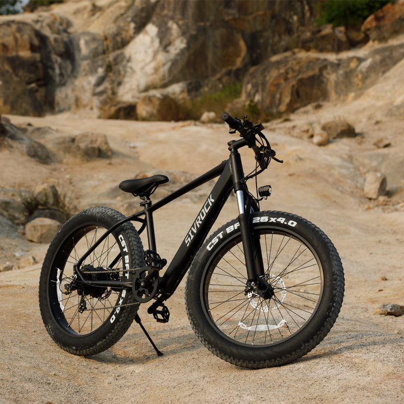 Powerful Electric Mountain Bike – 1000W Motor, 26x4.0 Fat Tires, Long-Range Ride Bike