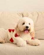 Cream Heart-3D Motif Pet Sweater - Image 3