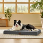 Orthopedic Memory Foam Dog Bed for Large & Medium Dogs – Washable Removable Cover, Anti-Slip Base, Joint Support Pet Bed - Image 3