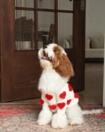 Cream Heart-3D Motif Pet Sweater - Image 5
