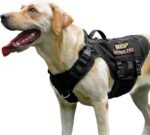 Adjustable No-Pull Dog Harness – Breathable Reflective Mesh Vest for Small, Medium & Large Dogs - Image 3