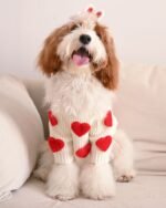 Cream Heart-3D Motif Pet Sweater