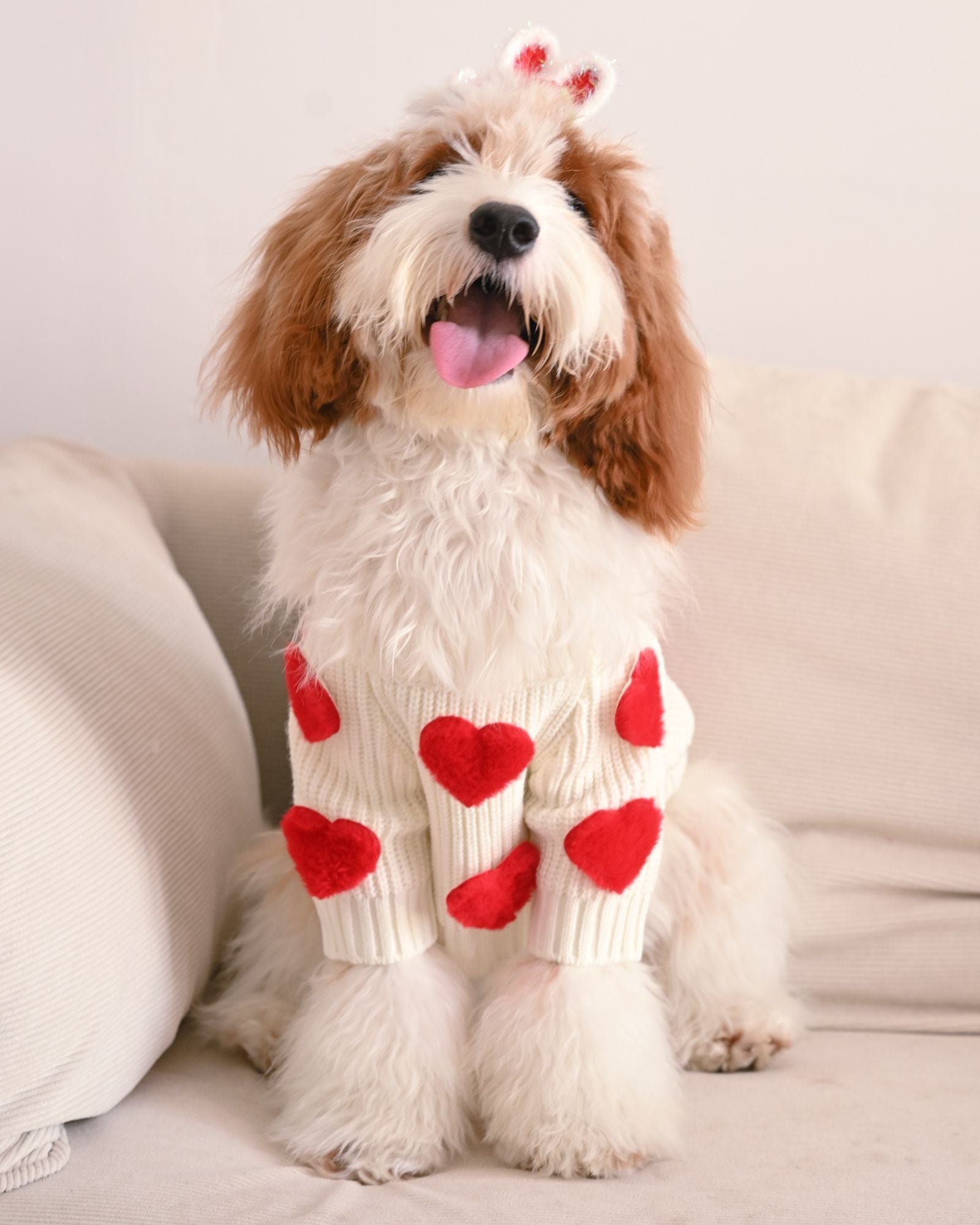 lovedogsweater01.jpg Cream Heart-3D Motif Pet Sweater - Image 1