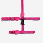 Pink LED | Cat Harness with Leash