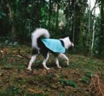 Mint | Winter Coat - Image 8