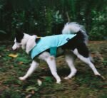 Mint | Winter Coat - Image 9