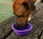 Peak | Go Bowl - Image 6